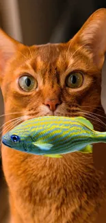 Funny cat with a vibrant fish mobile wallpaper.