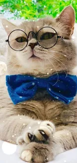 Cat with glasses and blue bowtie lounging stylishly on white surface.