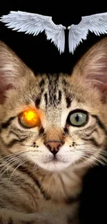 Cat with a glowing eye and angel wings, set on a dark background.