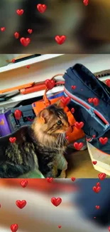 Fluffy cat surrounded by red hearts in lively wallpaper.