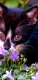 Adorable kitten sniffs purple flowers amid lush green foliage.