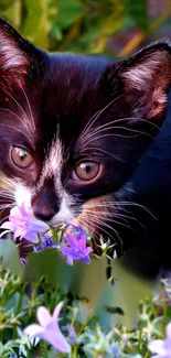 Black kitten sniffs purple flowers in garden scene.