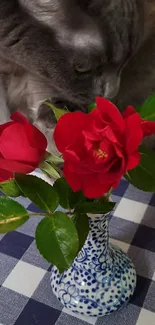 Grey cat sniffing red roses in a vase on a checkered table.