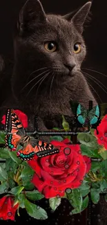 Grey cat with red roses and butterflies on a dark background.