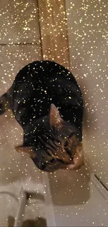 Cat surrounded by sparkling gold particles on a phone wallpaper.