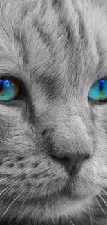 Close-up of a cat with striking blue eyes in a monochrome theme.