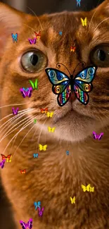 Orange cat with butterfly on nose wallpaper.