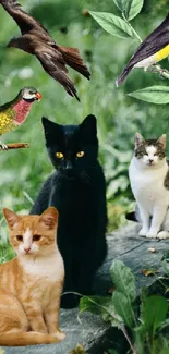 Cats and birds on a lush green forest path.