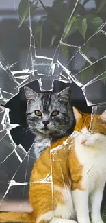 Two cats behind cracked glass with green leaves in the background.