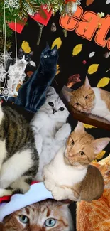 Collage of multiple cats with festive decorations in a vibrant, holiday-themed setting.