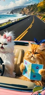 Two fluffy cats driving by the ocean in a convertible.