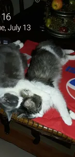 Two cats peacefully napping on a red Pepsi blanket.