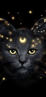 Starry celestial cat with glowing eyes on a black background.