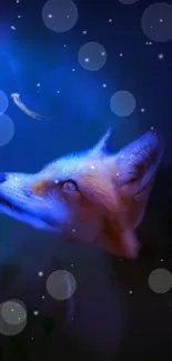 A fox gazes at a moonlit night sky with glowing orbs in blue tones.