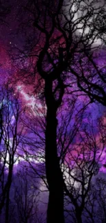 Dark purple forest silhouette with cosmic night sky background.