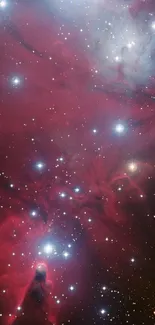 Vibrant red nebula with bright stars in space, creating a cosmic artwork.