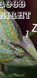 Chameleon with 'Good Night' text on a green, leafy background.