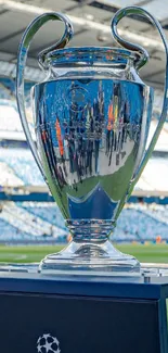 Champions League trophy on a football pitch.