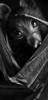 A captivating bat in black and white artwork, ideal for phone wallpaper.