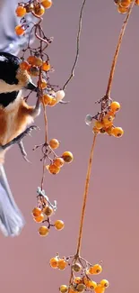 Bird perched on branches with vibrant orange berries.