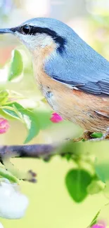 Charming bird perched on a branch with blossoms in spring.