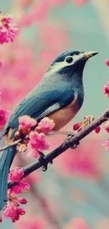 Colorful bird on cherry blossom branch mobile wallpaper.