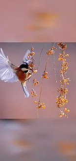 A vibrant bird in flight near hanging berries.