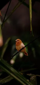 A small bird perched on a branch amidst lush green foliage.