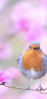 Vibrant bird among spring pink blossoms.