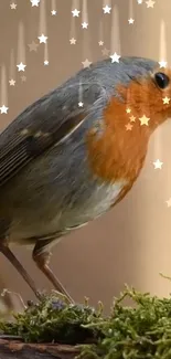 Close-up of a robin with star accents on a moss background.