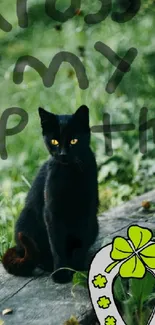 Black cat among lush greenery on mobile wallpaper.