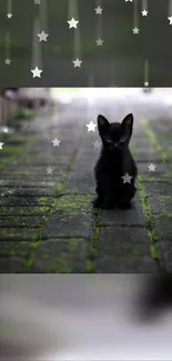 Charming black kitten on mossy path with starry sky.