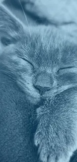 Sleeping kitten in blue-tinted wallpaper for mobile screens.