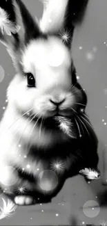 Black and white bunny with floating feathers creating a magical effect.