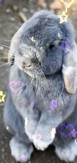 Cute gray bunny with stars and hearts pattern.