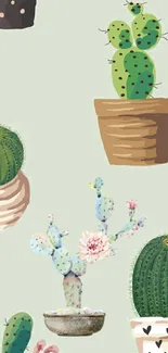 Hand-drawn potted cacti on mint green wallpaper.