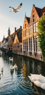 Swans glide along a canal reflecting historic buildings under a warm sunset glow.