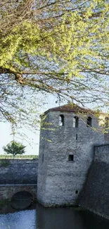 Castle by a river with lush green foliage and blue sky.