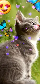 Kitten sitting with butterflies in a green forest background.