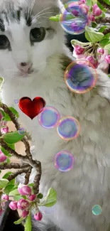 Fluffy cat with pink blossoms and bubbles in dreamy wallpaper.