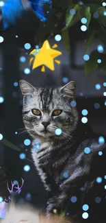 Cat with artistic elements in a dark blue theme mobile wallpaper.