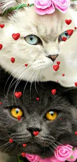 Cute cats with red hearts and pink roses in colorful wallpaper.