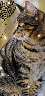 Tabby cat with glittering stars and a heart in a nature backdrop.