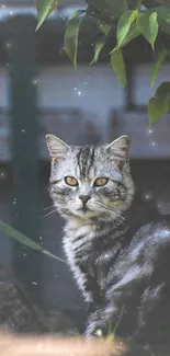 Cat sitting under a leafy tree in a garden setting.