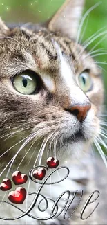 A charming cat with heart accents in a lush green garden setting.