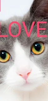 Adorable cat with 'I Love' text on white background.