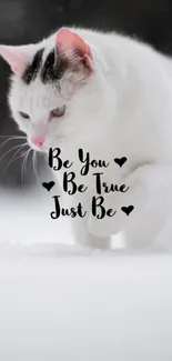 Elegant white cat in snow with motivational text.