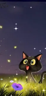 Cute black kitten under starry night sky.