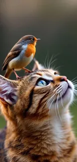Cute cat with bird sitting on its head, in a nature setting.