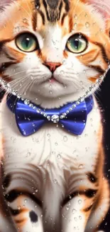 Cute cat with blue bow tie and water droplets on glass.